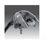 ����鿴ͼƬʵ�ʳߴ��С